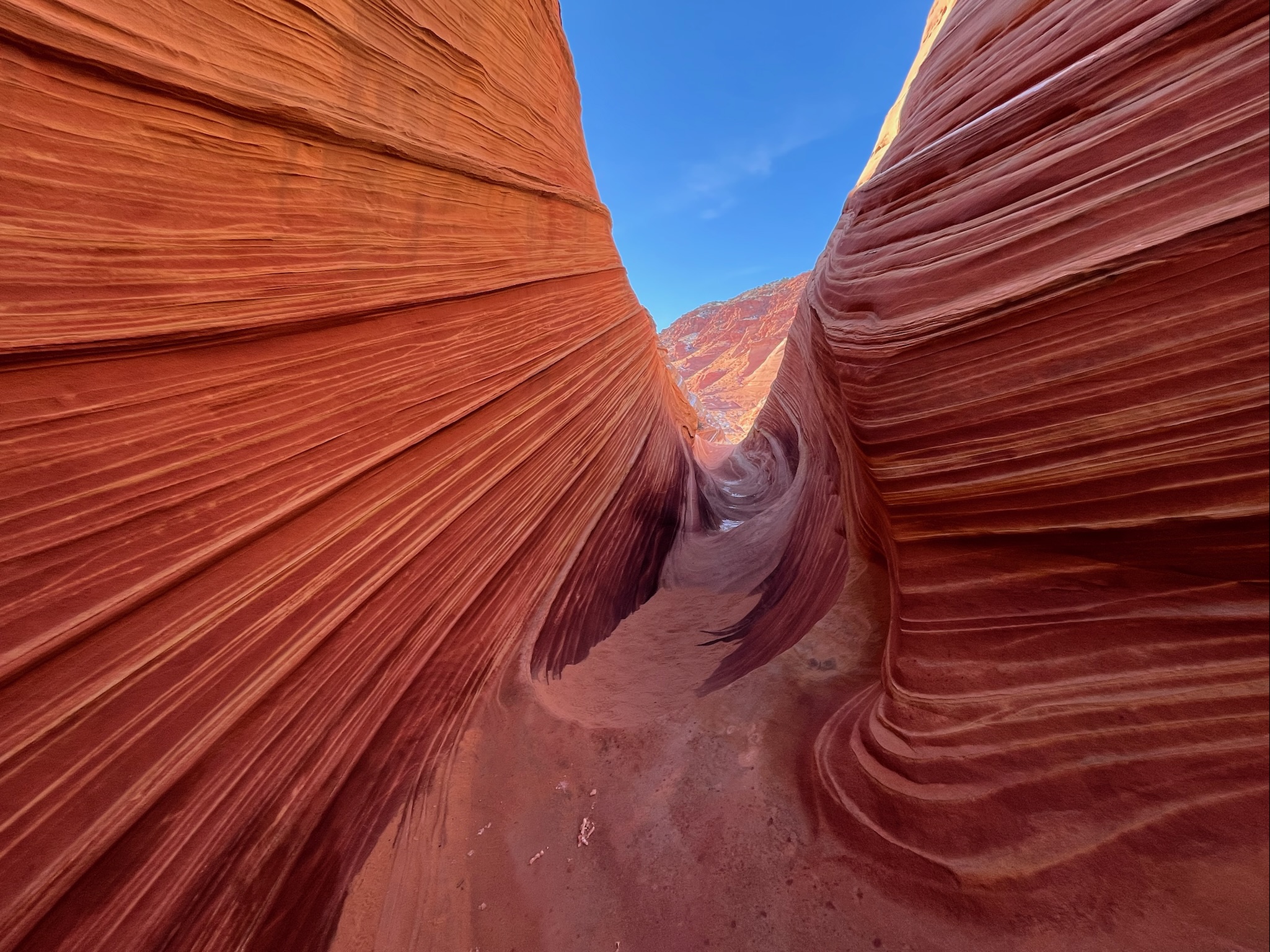 Photograph by Aaron Timmins