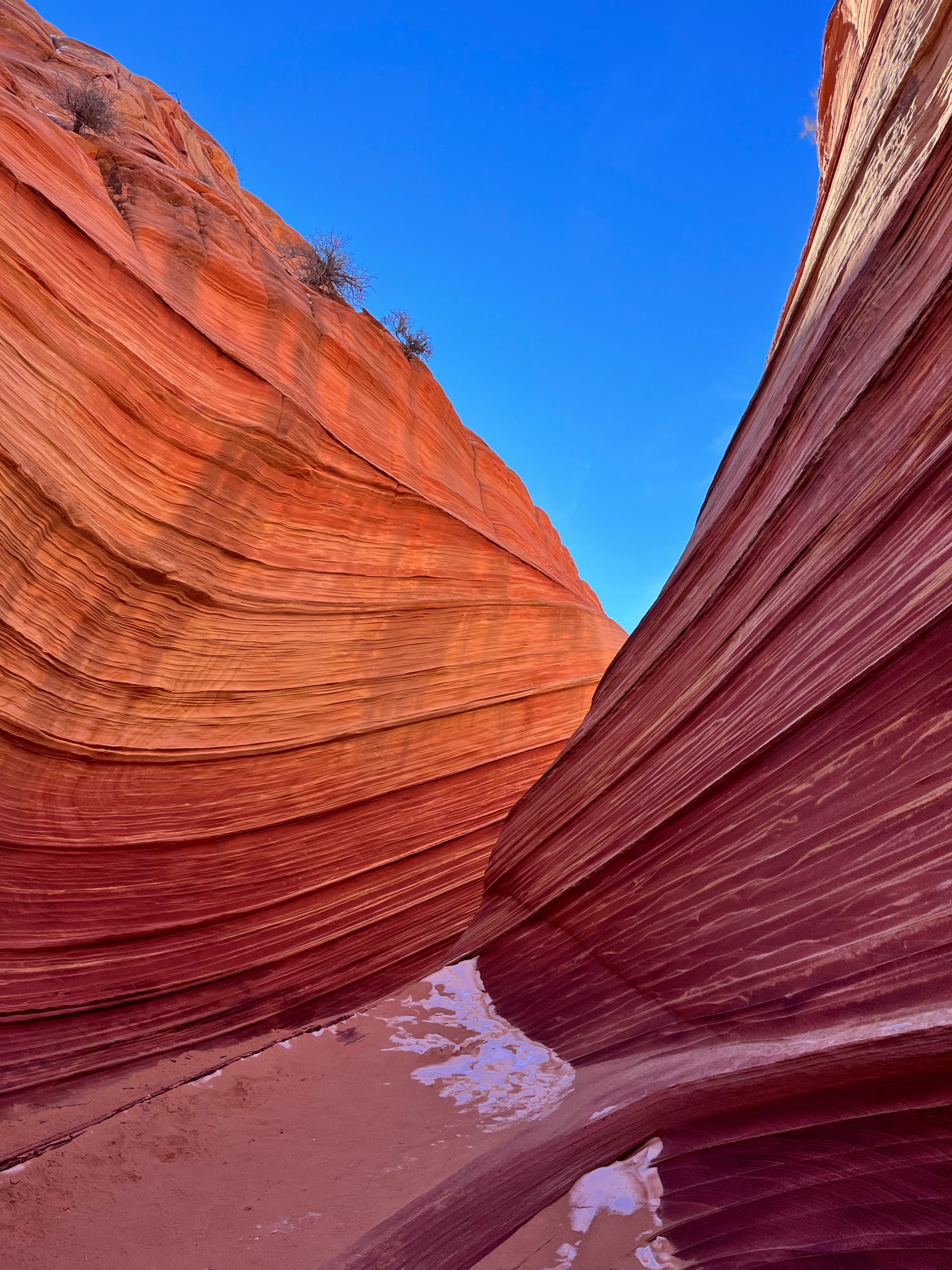 Photograph by Aaron Timmins